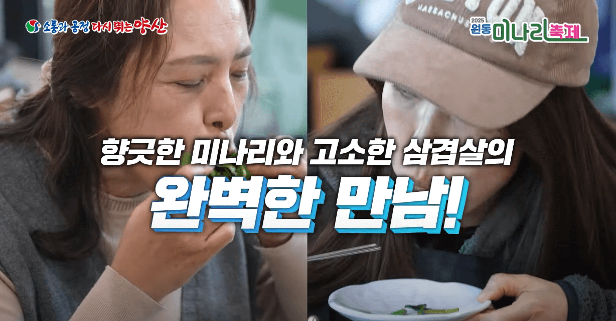 원동 미나리축제