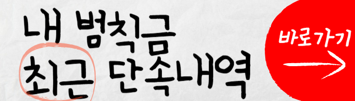 자동차 벌금 조회