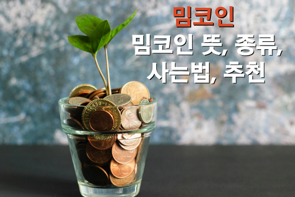 밈코인 뜻 종류 사는법 추천