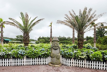 수국축제