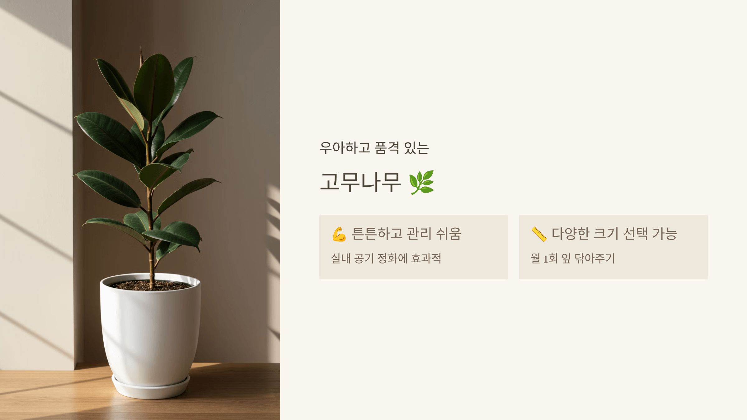 고무나무