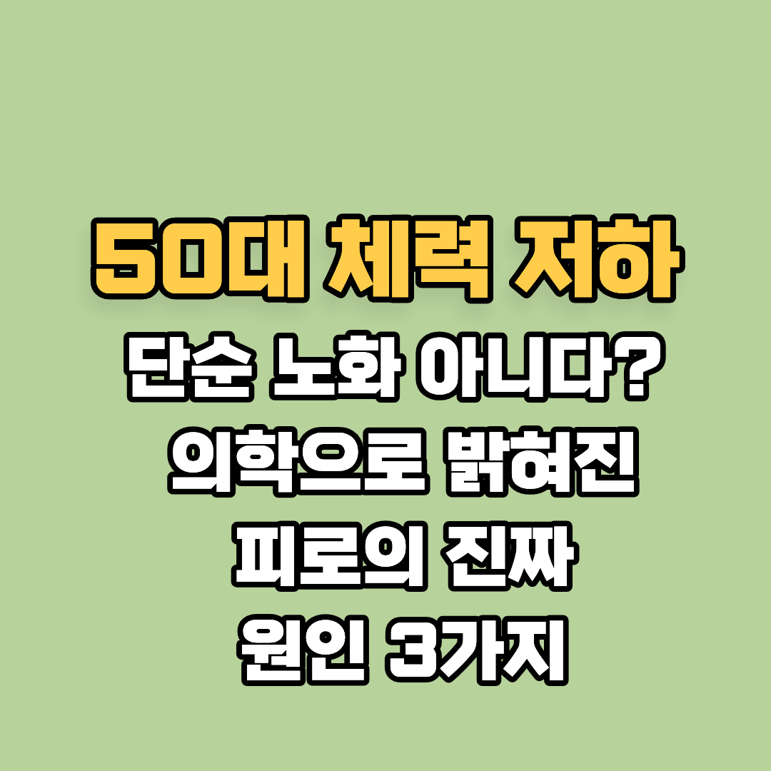 50대 체력 저하, 단순 노화가 아니다? 의학으로 밝혀진 피로의 진짜 원인 3가지