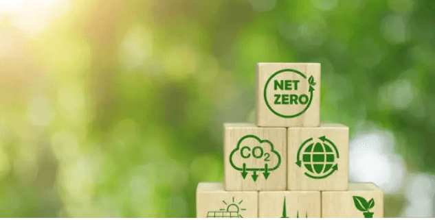 천천히 관계 맺는 법, 깊이 있는 연결의 미학