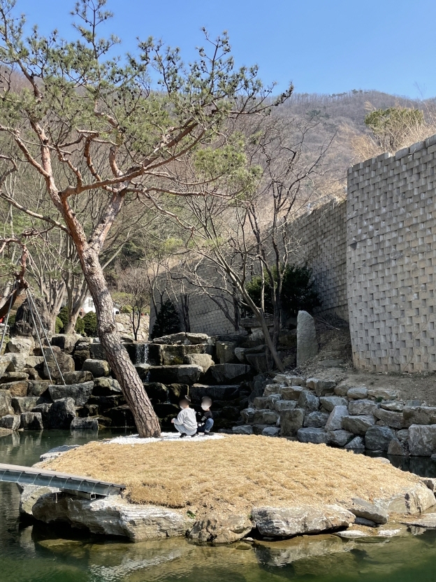 헤일로92-자라나는-새싹