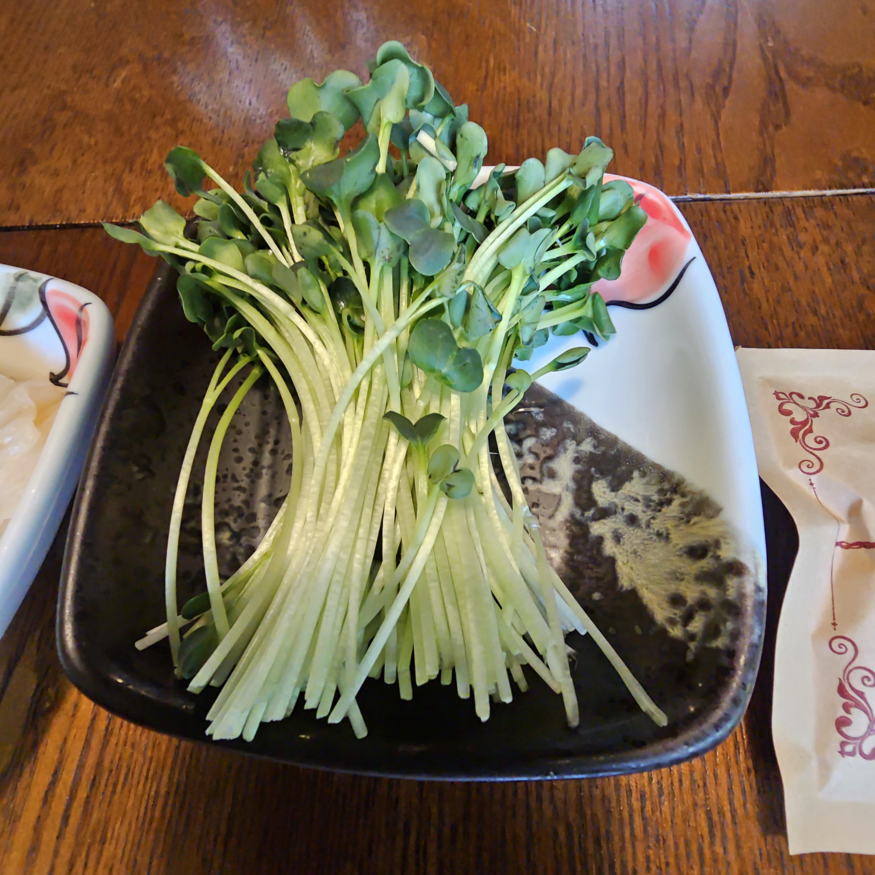 발산역 태풍참치 무순이