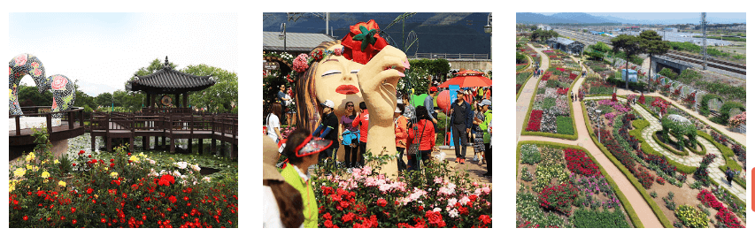 곡성세계장미축제