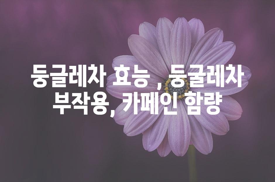 샘플 (50)