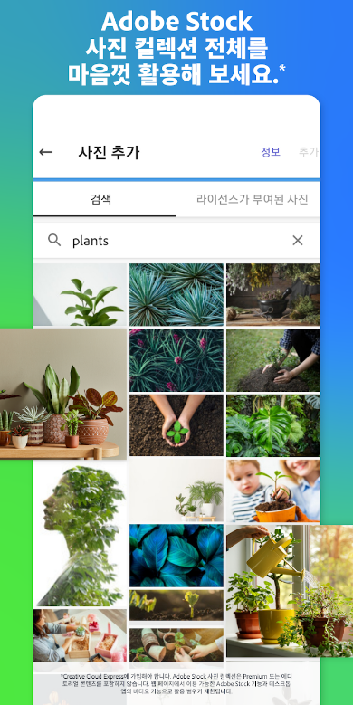 Adobe Express, adobe express 무료, 디자인, SNS용 그래픽, 홍보 자료, 로고, 포스터, YouTube 영상 썸네일 제작