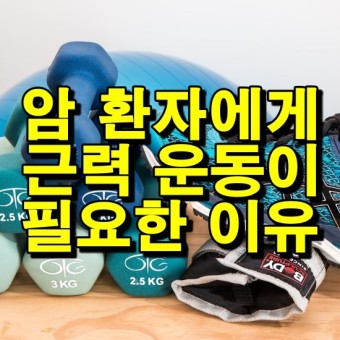 항암과 근육량