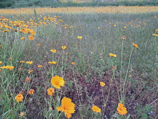 슬로우 트래블 큐레이터
