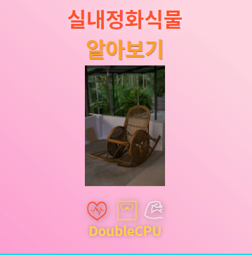 실내정화식물 탐구