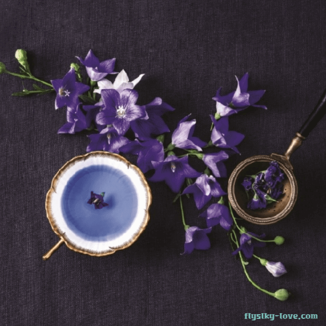 기관지에 좋은 도라지꽃차