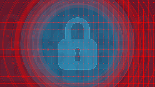 여신거래안심차단서비스확인