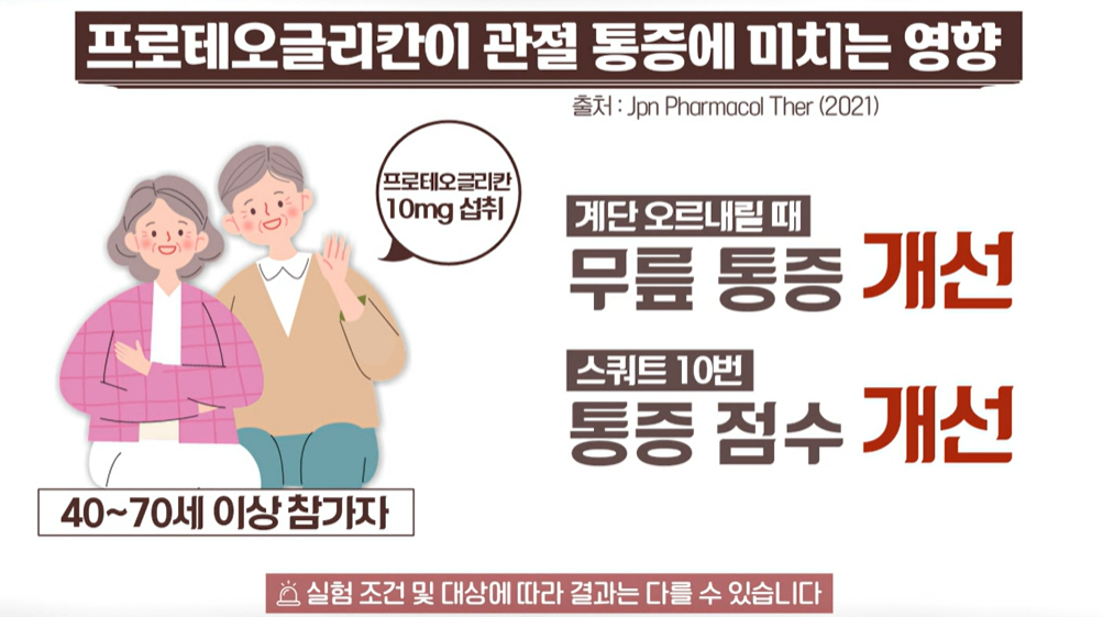 프로테오글리칸 효능