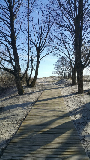 패르뉴비치 Pärnu Beach