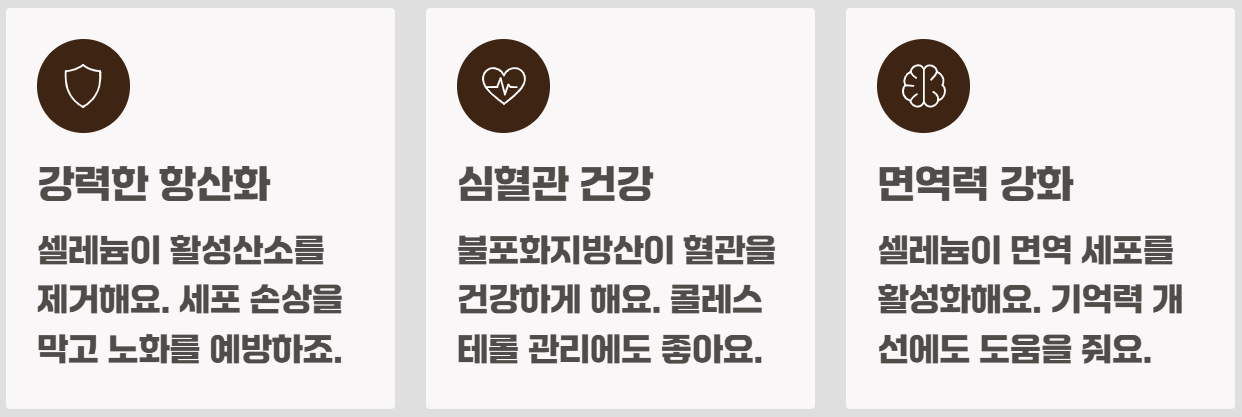 브라질너트 효능