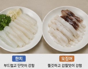 한치와 오징어 차이