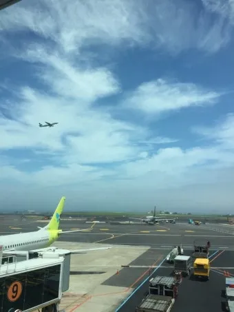 제주도 공항 근처 맛집 추천 여행자 리뷰 좋은 곳 위주_15