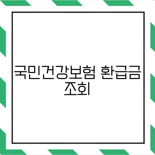 국민건강보험 환급금 조회