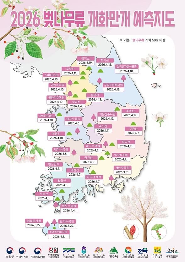 2026 벚꽃 개화시기 언제? 전국 명소 완벽 정리