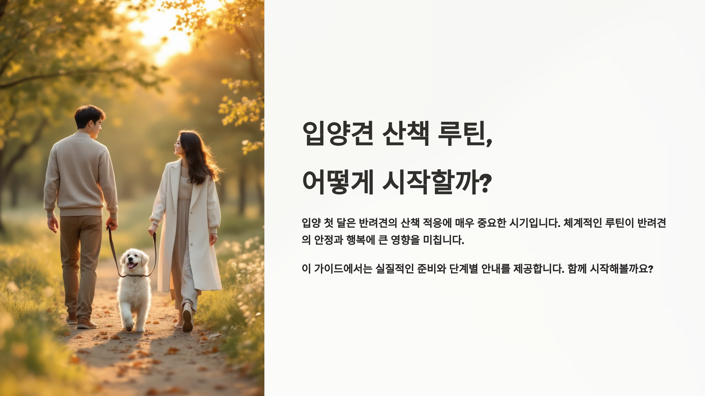 입양견 산책 루틴, 처음부터 어떻게 만들면 좋을까?