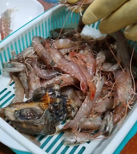 백반기행-통영-다찌-쌓인정-신선한해산물