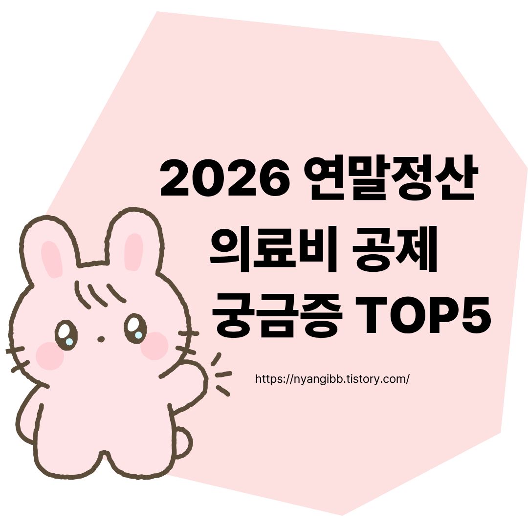 연말정산 의료비 공제 궁금증 관련 사진