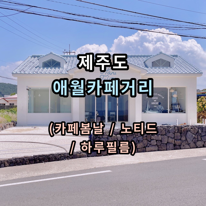 제주도-애월읍-카페거리-신상-카페-입니다