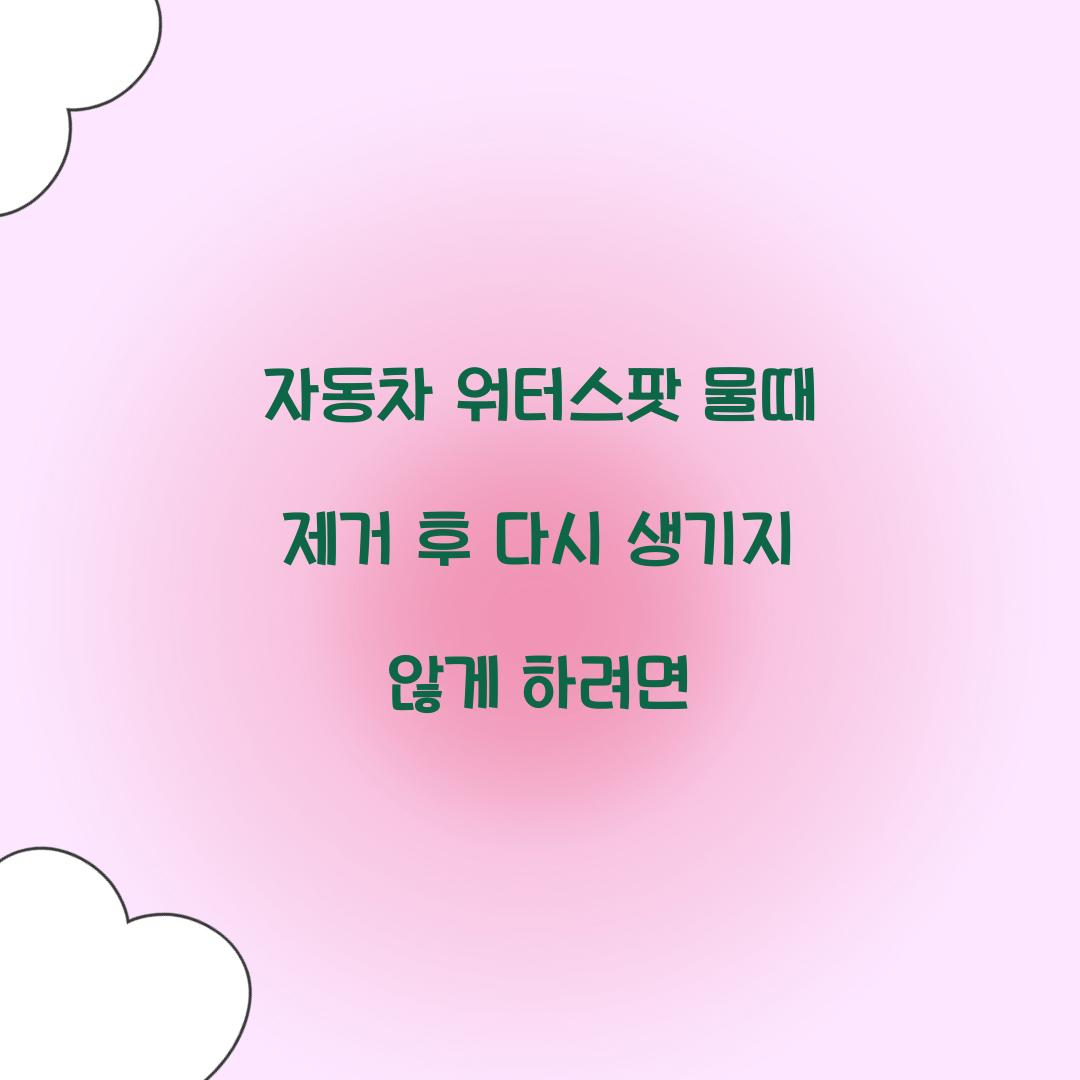 자동차 워터스팟 물때 제거 후 다시 생기지 않게 하려면