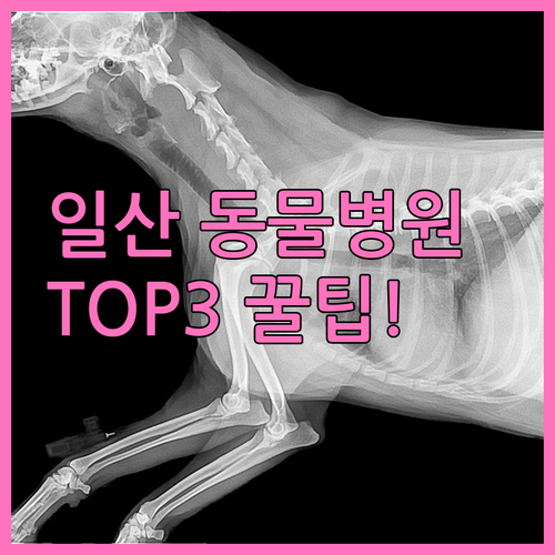 고양 일산서구 인기 많은 동물병원 리..