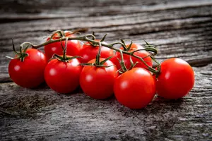 관절염에 좋은 음식