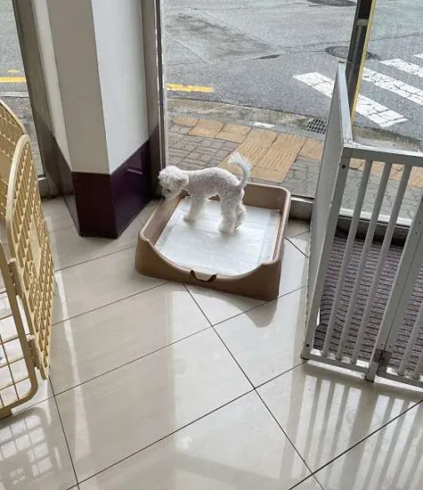 제이엘동물병원