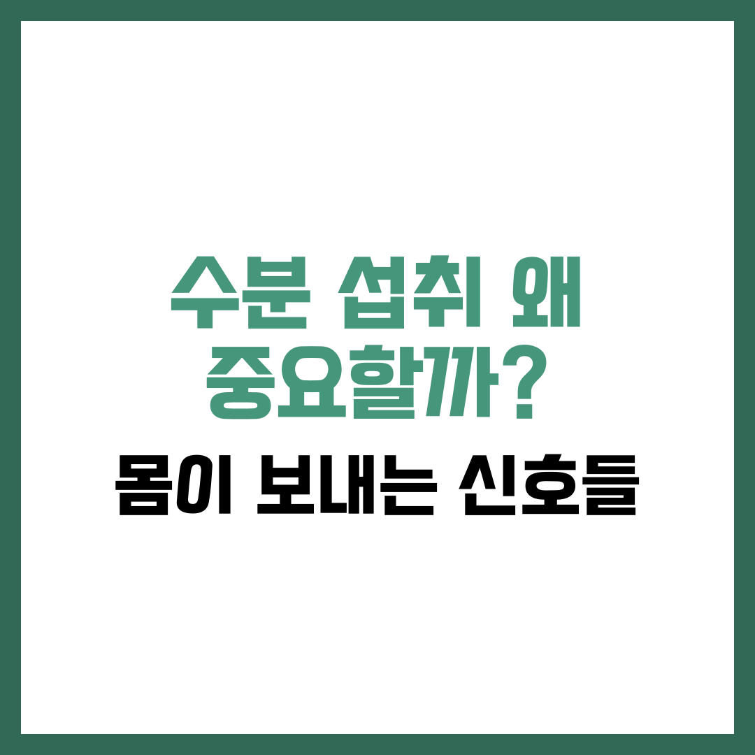 수분 섭취 왜 중요할까?