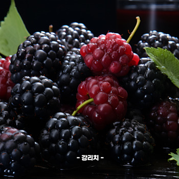 복분자 재배방법