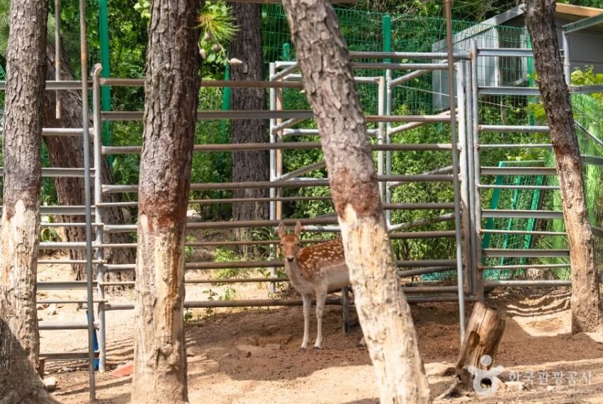 구미 가볼만한곳 베스트 10