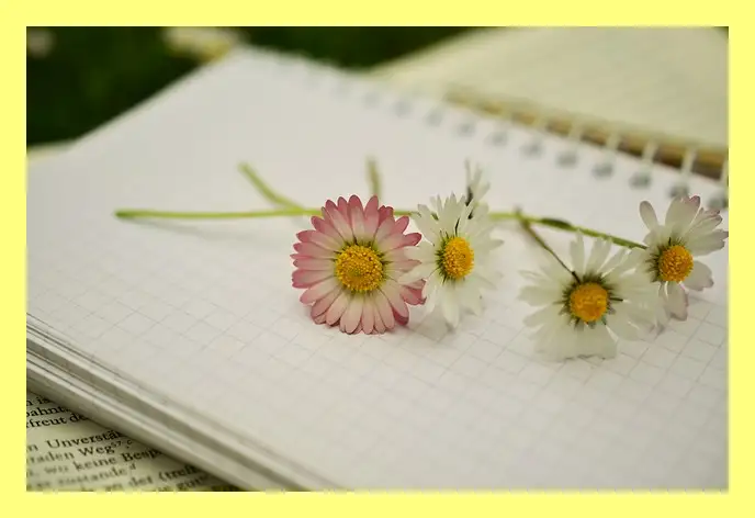 한강 소년이 온다