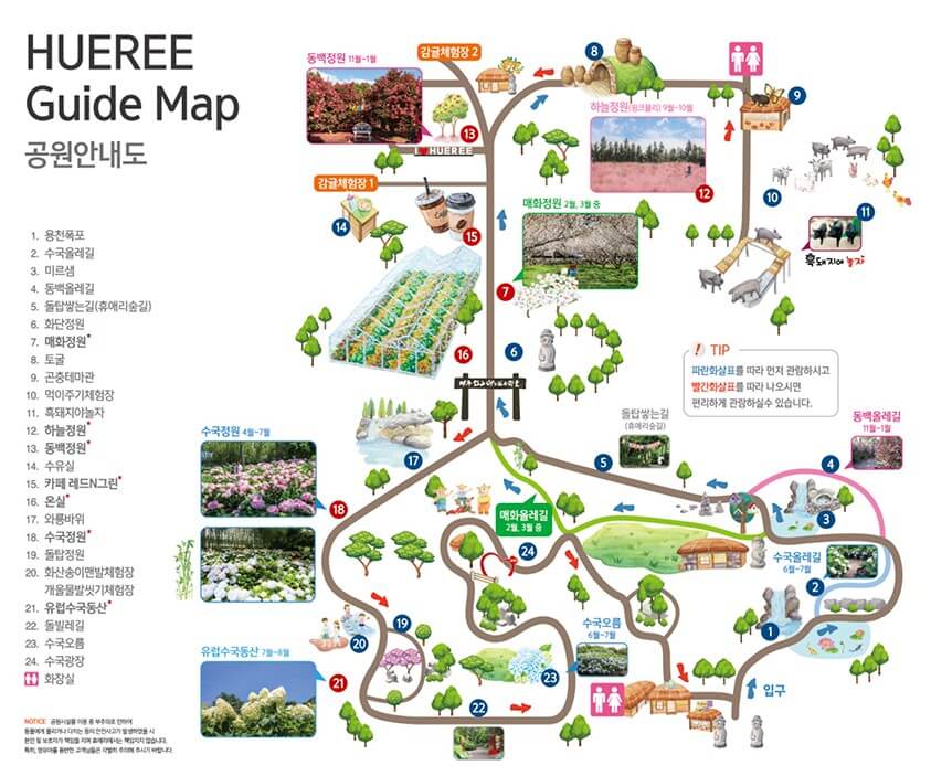 휴애리 유채꽃 축제 감귤체험, 휴애리는 제주에서 아름다운 향토공원으로 한라산이 보이는 쉼과 제주의 향기를 느낄 수 있는 자연 생활 체험 공간입니다. 매년 매화, 수국, 핑크뮬리, 동백꽃 축제가 열리고 있습니다. 계절마다 아름답게 피는 꽃을 제주도에서 본다면 잊지 못할 여행이 될 것입니다.