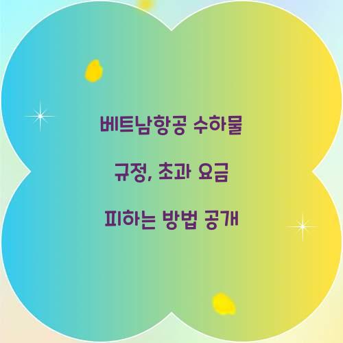 베트남항공 수하물 규정