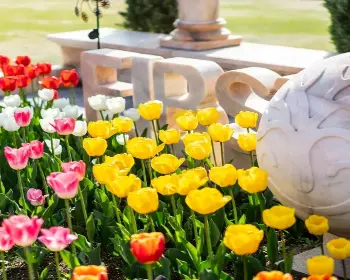 퍼스트가든 봄꽃축제 블루밍가든_11