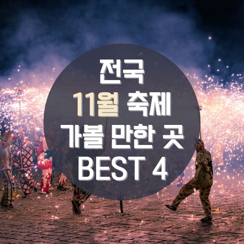 11월축제