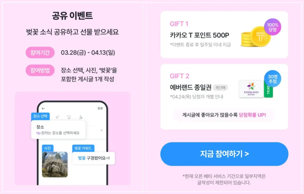카카오티-벚꽃-공유-이벤트