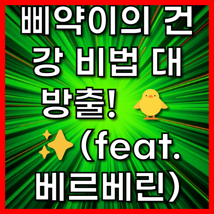 삐약이의 건강 비법 대방출! 🐥✨(feat. 베르베린)