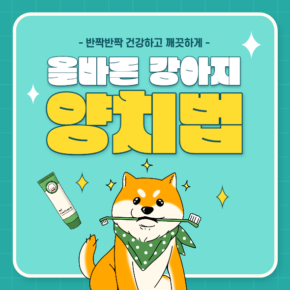 강아지 양치하는 방법 섬네일.