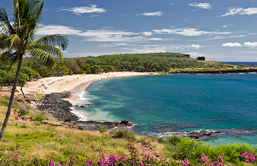 라나이(Lanai)