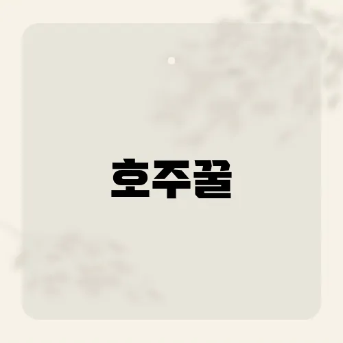 호주꿀, 마누카꿀의 효능과 뉴질랜드 제품과의 차이점은?