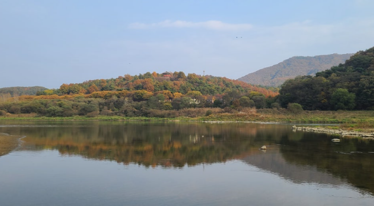 금강수목원