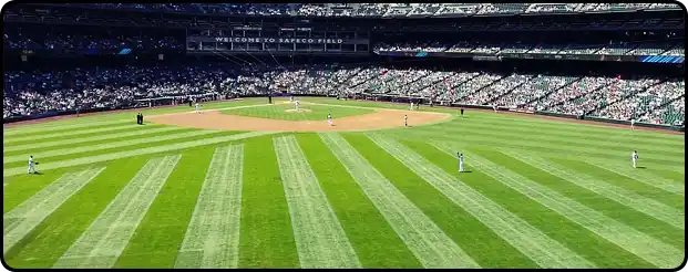 2025년 프로야구 FA선수 명단 20명 확정!