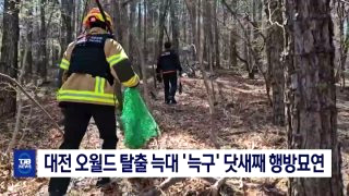 늑구 포획 현상금 청주 암컷 AI사진 총정리