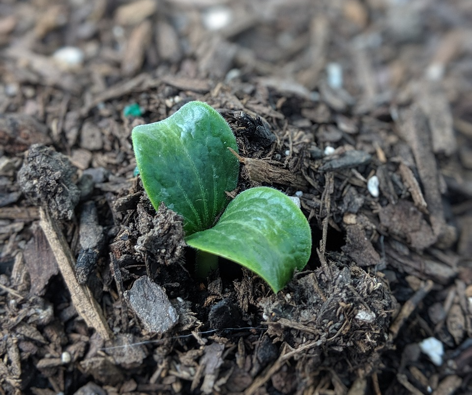 농지은행농지매입방법