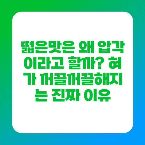 떫은맛은 왜 압각이라고 할까? 혀가 꺼끌꺼끌해지는 진짜 이유